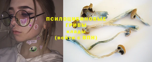 бошки Магадан